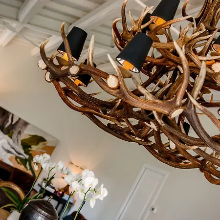 Frühstückspension Casavostra - Ambience 4*